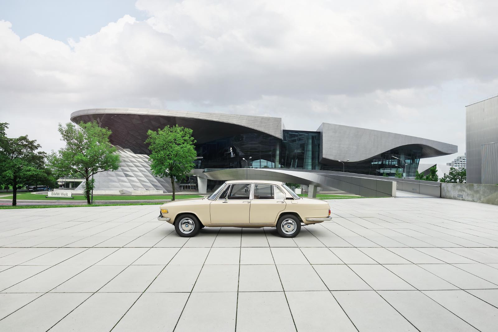 Cars_007.jpg