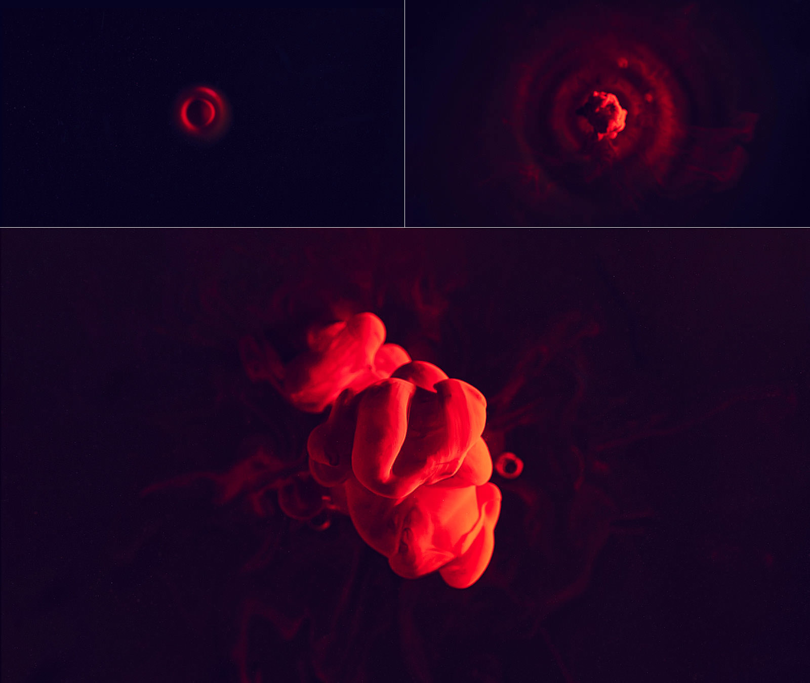 Galaxies_Nickfrank_01_1.jpg