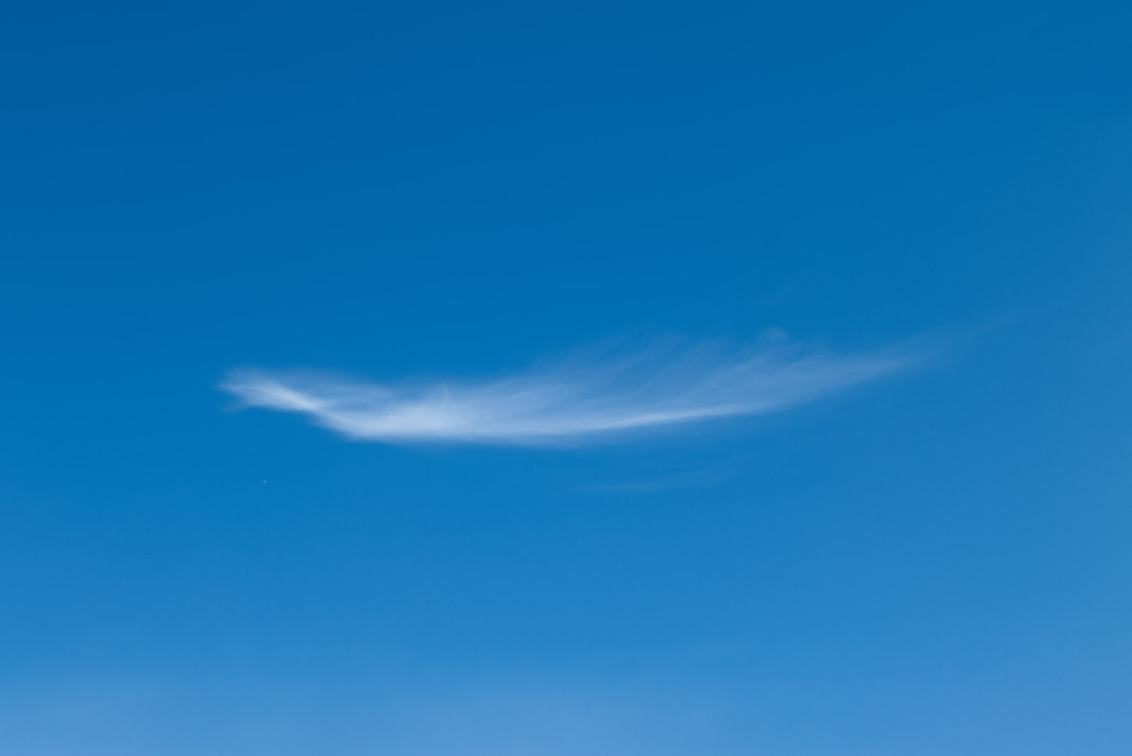 L1000316.jpg