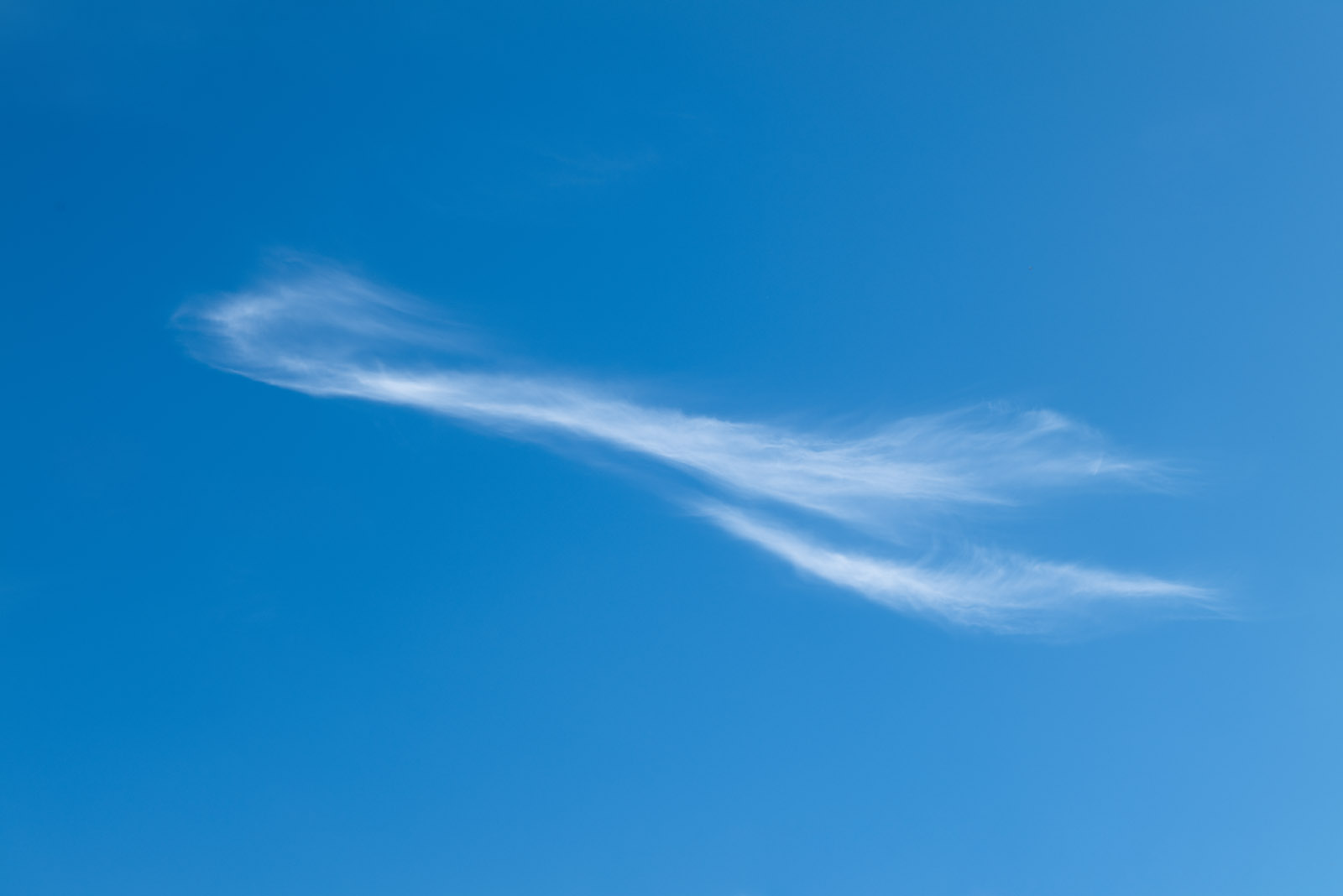 L1000317.jpg