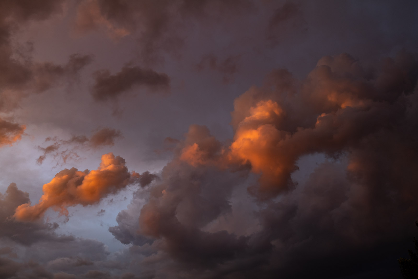L1040744.jpg