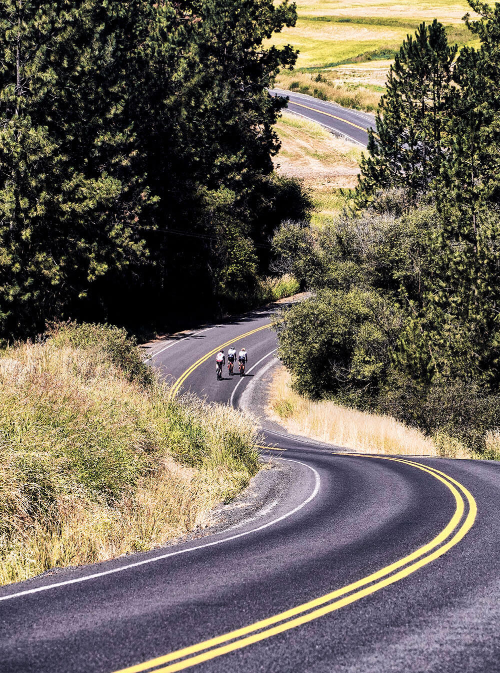 cycling_08.jpg