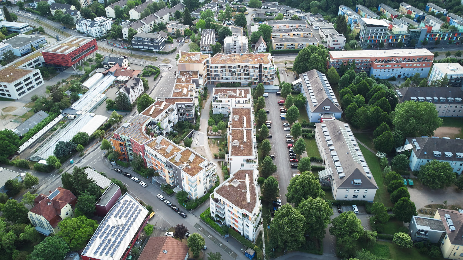 dji_0025.jpg