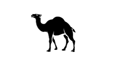 Logo Camel