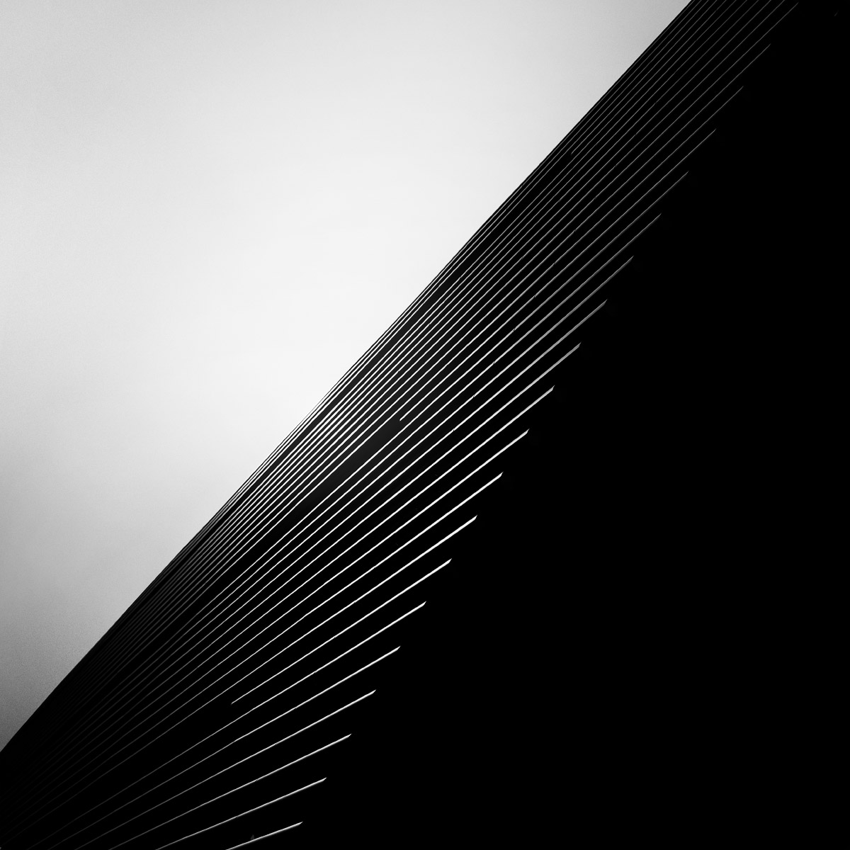 space_beyond_004.jpg