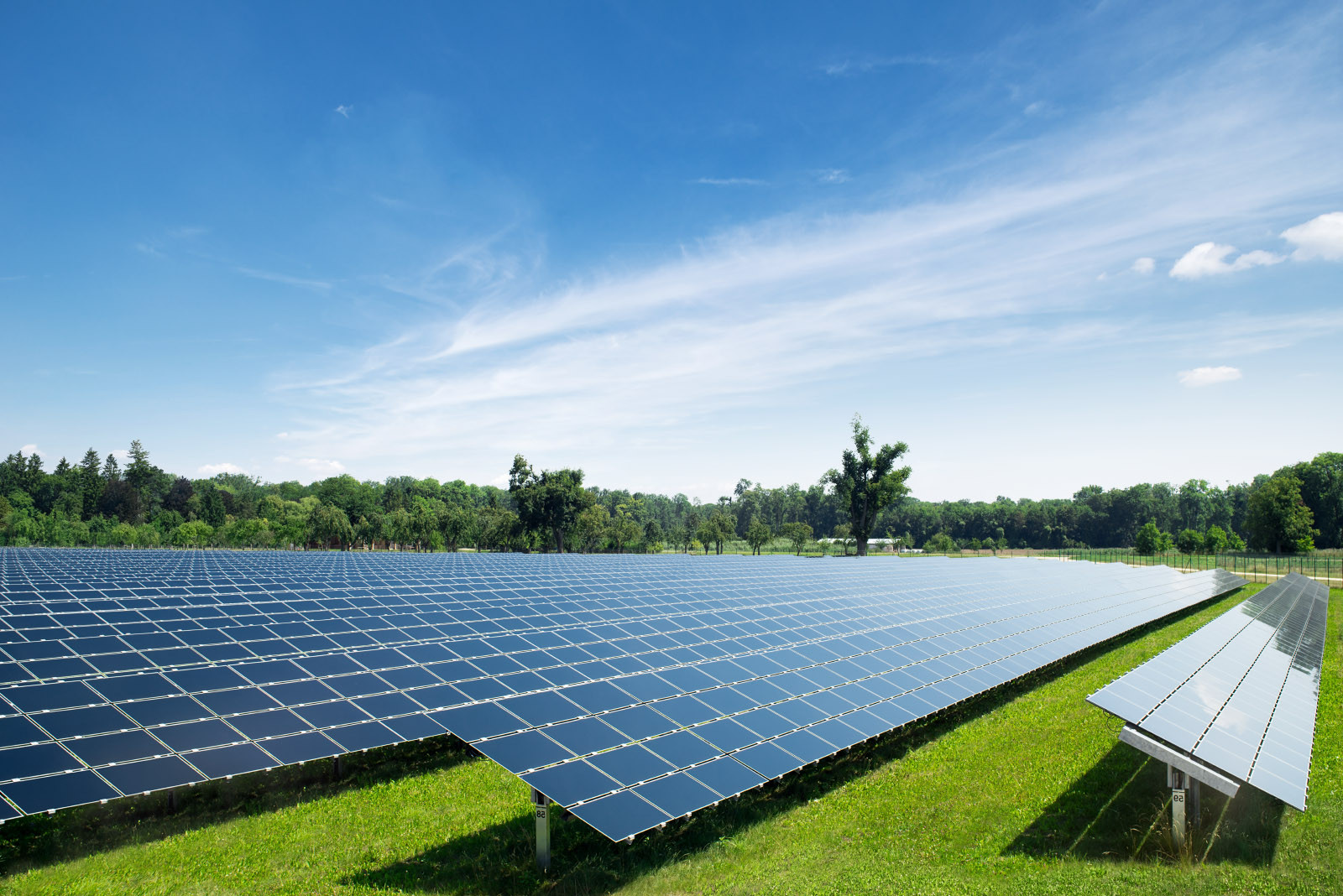 In Feld mit Solarpanels nähe Ulm