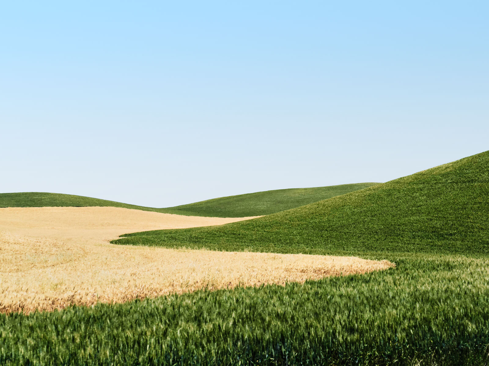 Erinnert an das Windows XP Hintergrund Bild. Hier ein Feld aus Washington State USA.