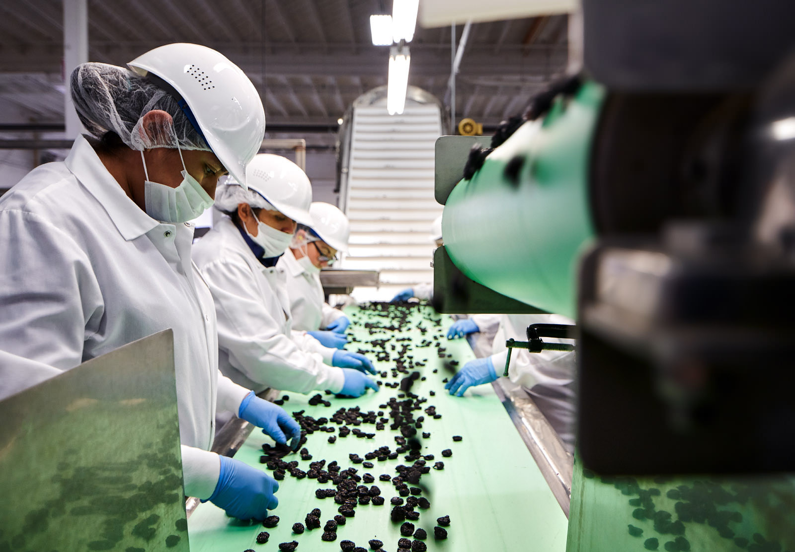 Factory workers sorting out food