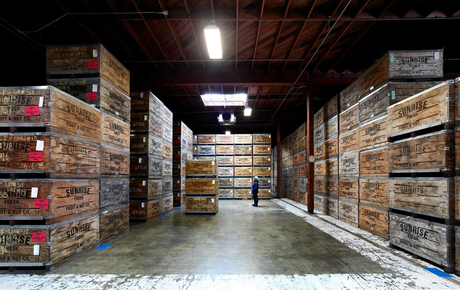 Fotografie eines Lagerraums mit Kisten voller Rosinen, Arbeiter Inspiziert Versandetiketten