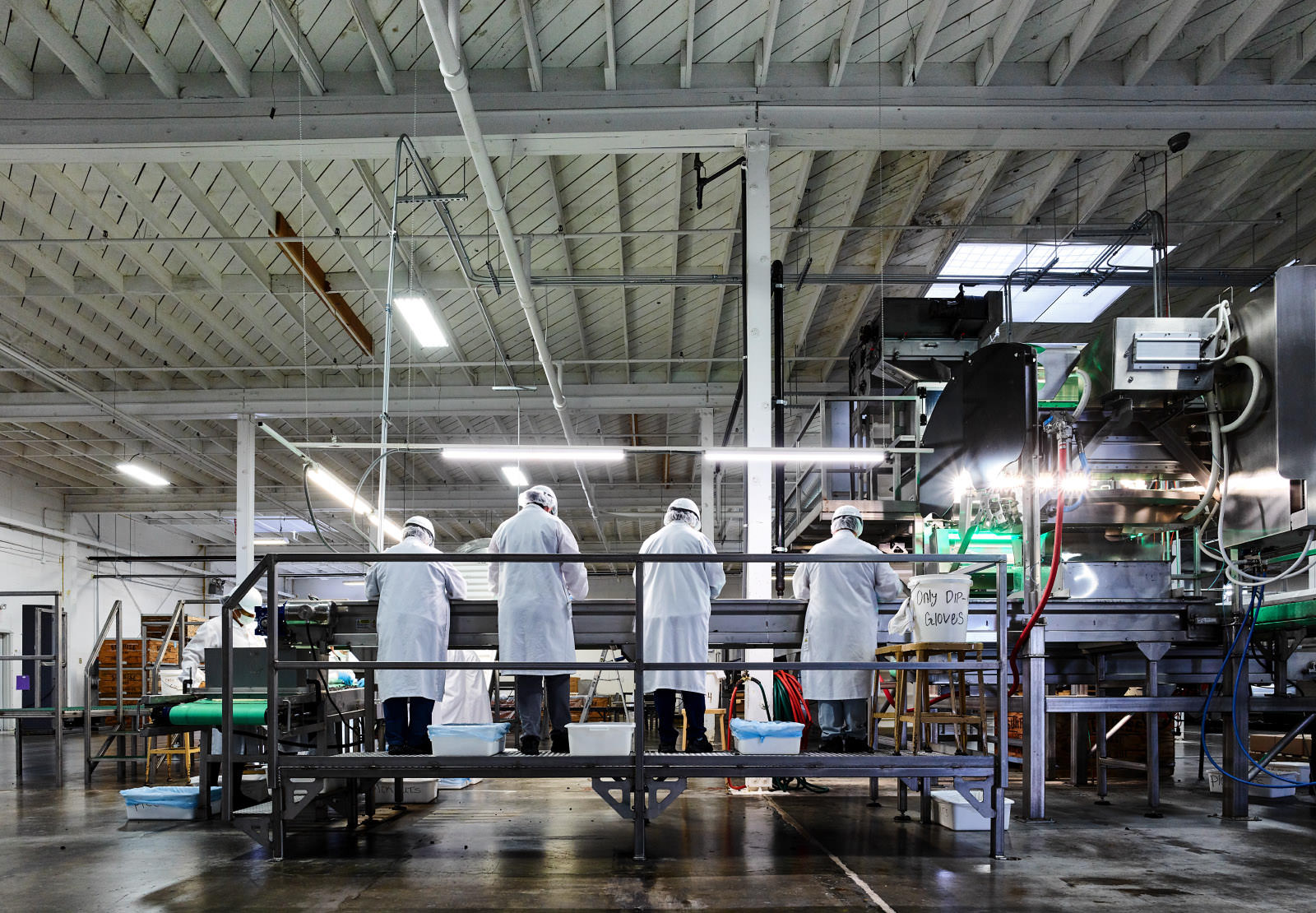 Factory workers at a plant