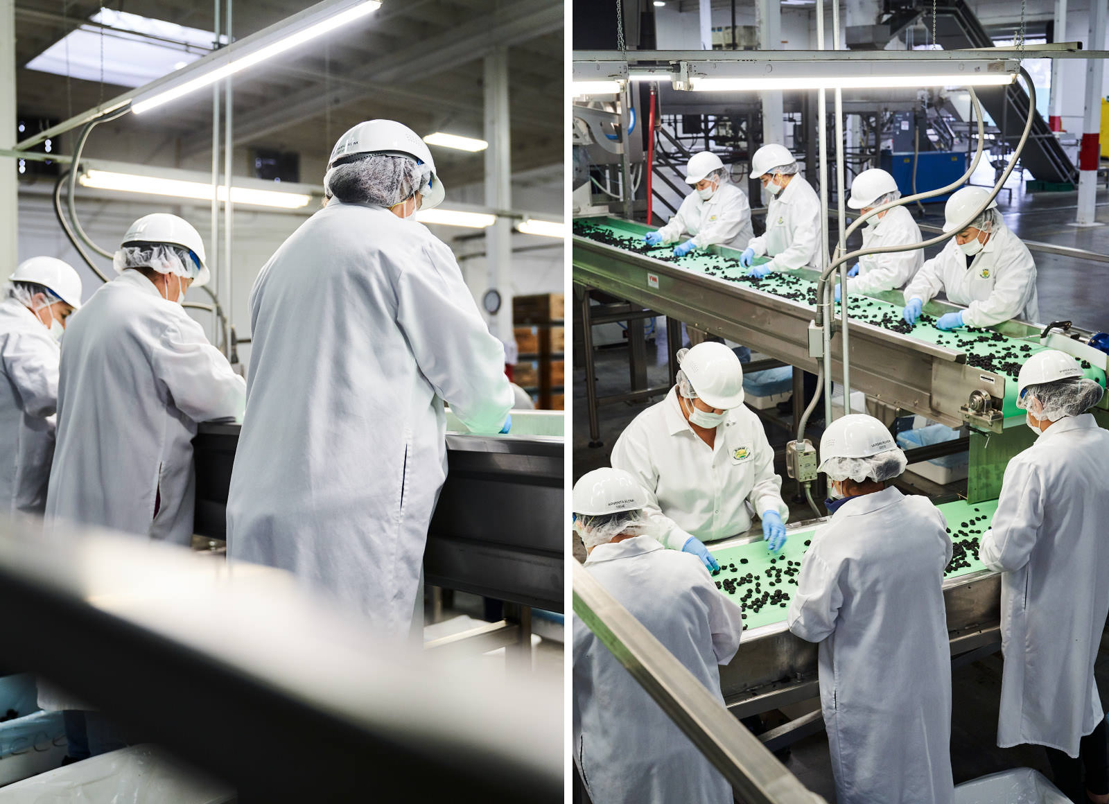 Pictures of employees working at a production line