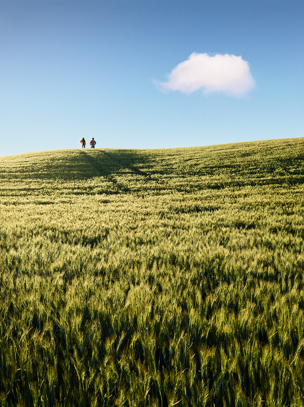 Zwei Personen auf einem Feld blicken in den Horizont