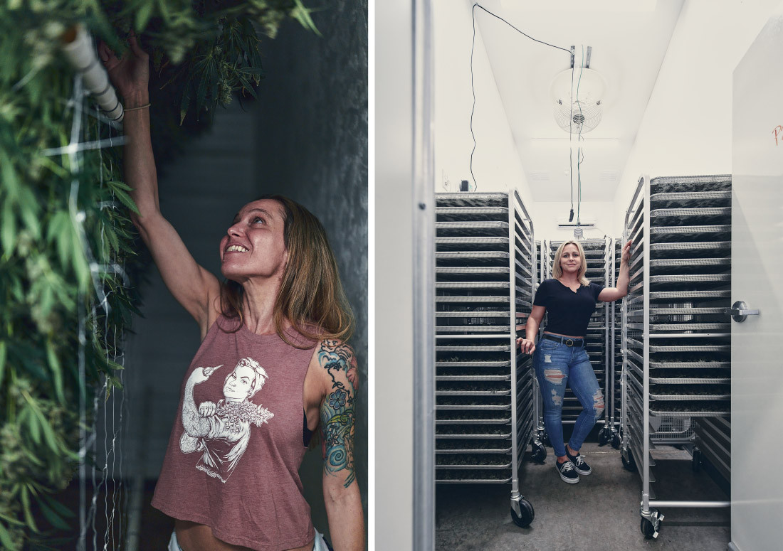 Frauen im Cannabis Growing