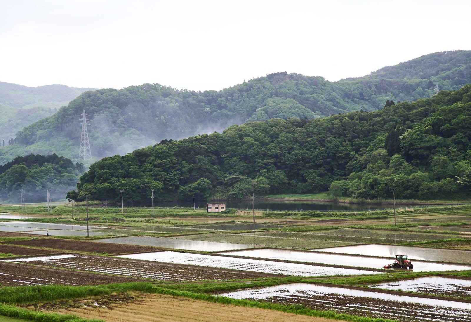 Felder werden beackert in Fukushima, Traktor bei der Arbeit