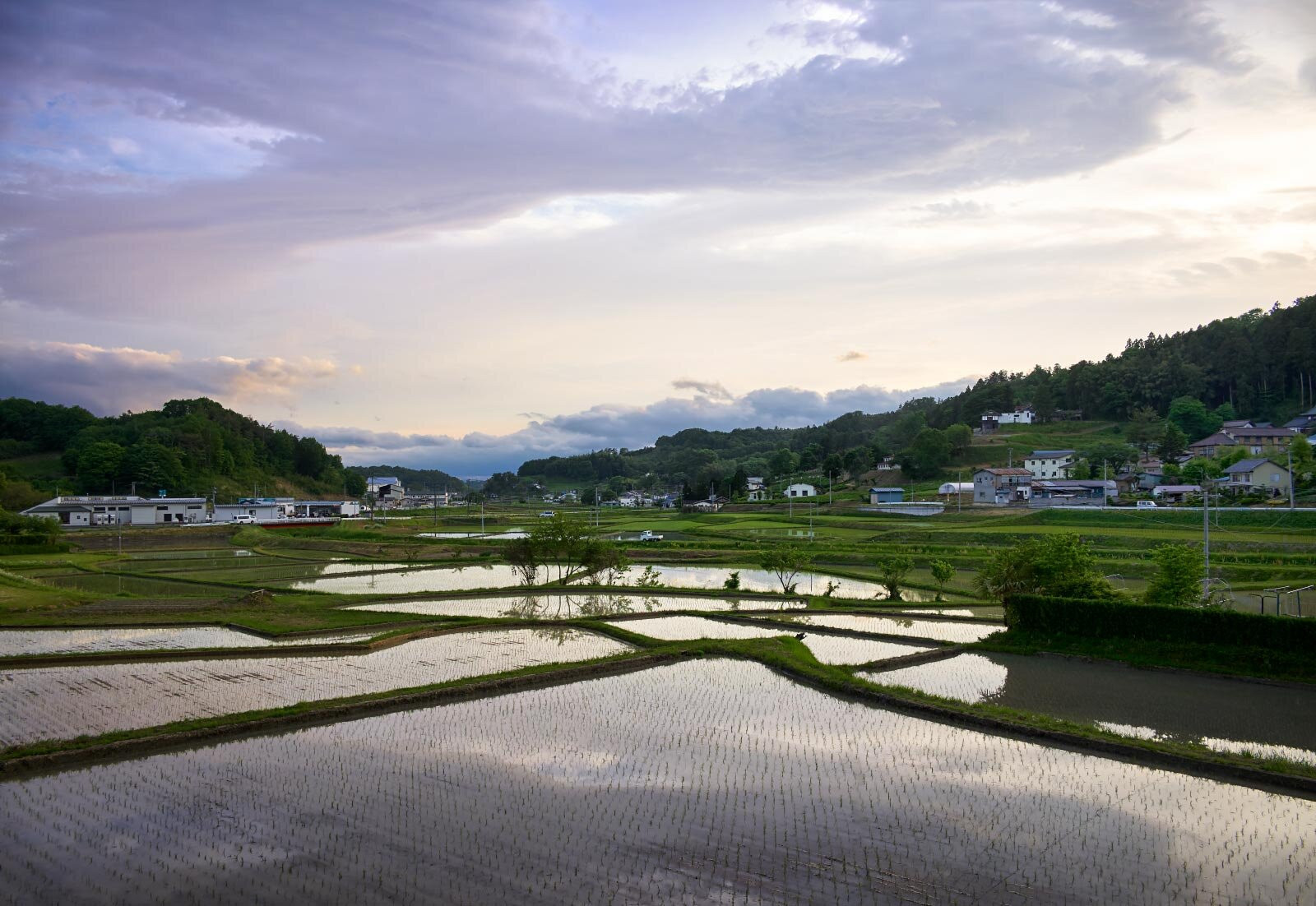 Landschaftsaufnahme Reisanbau in Itate Japan